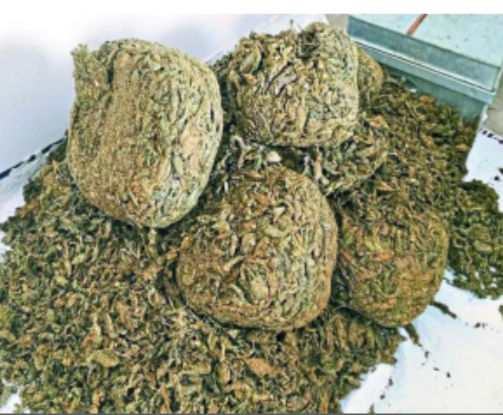 REWA : दो तस्करों से एक क्विंटल से ज्यादा गांजा बरामद, कार में छुपाकर ले जा रहे थे गांजा